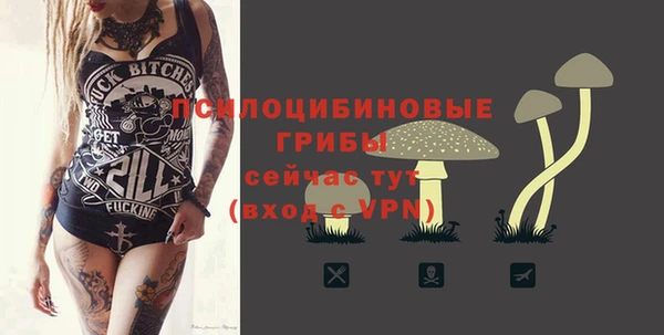 гидра Алзамай